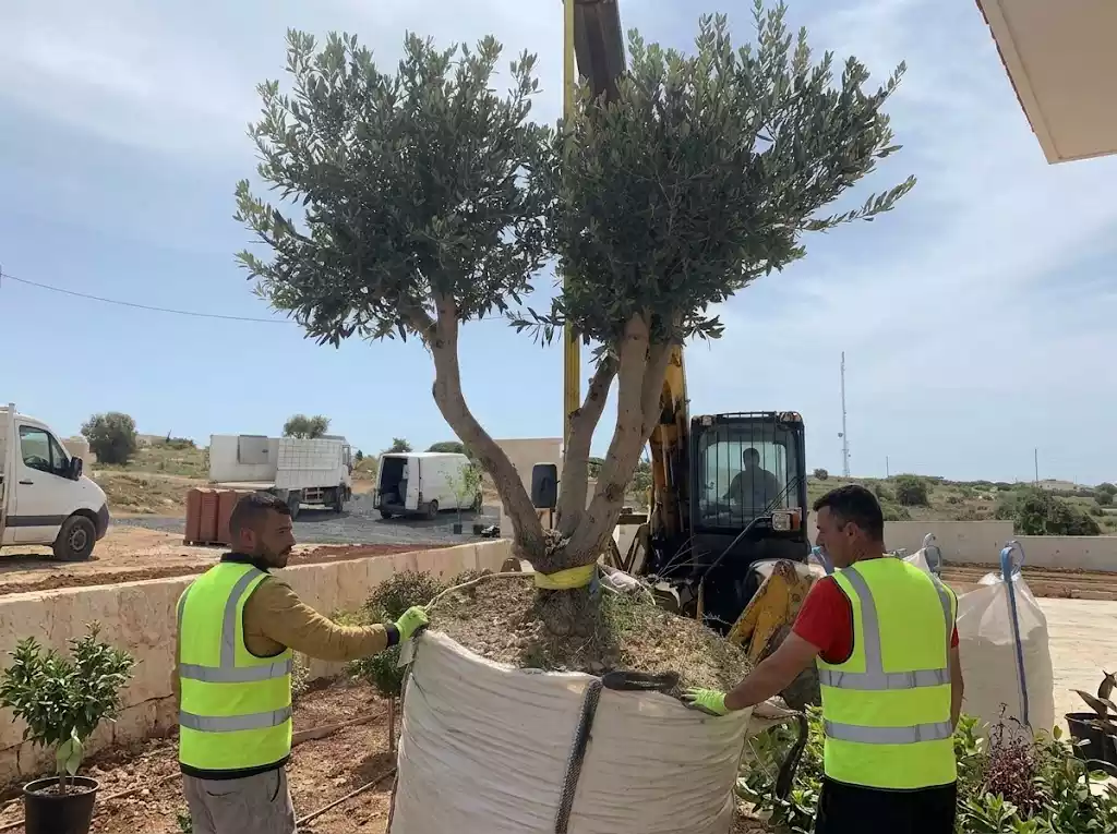 Botanical Planting & Site Clearance