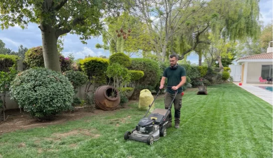 Lawn Care & Turf Nutrition