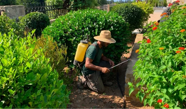 Targeted Herbicide & Weed Control