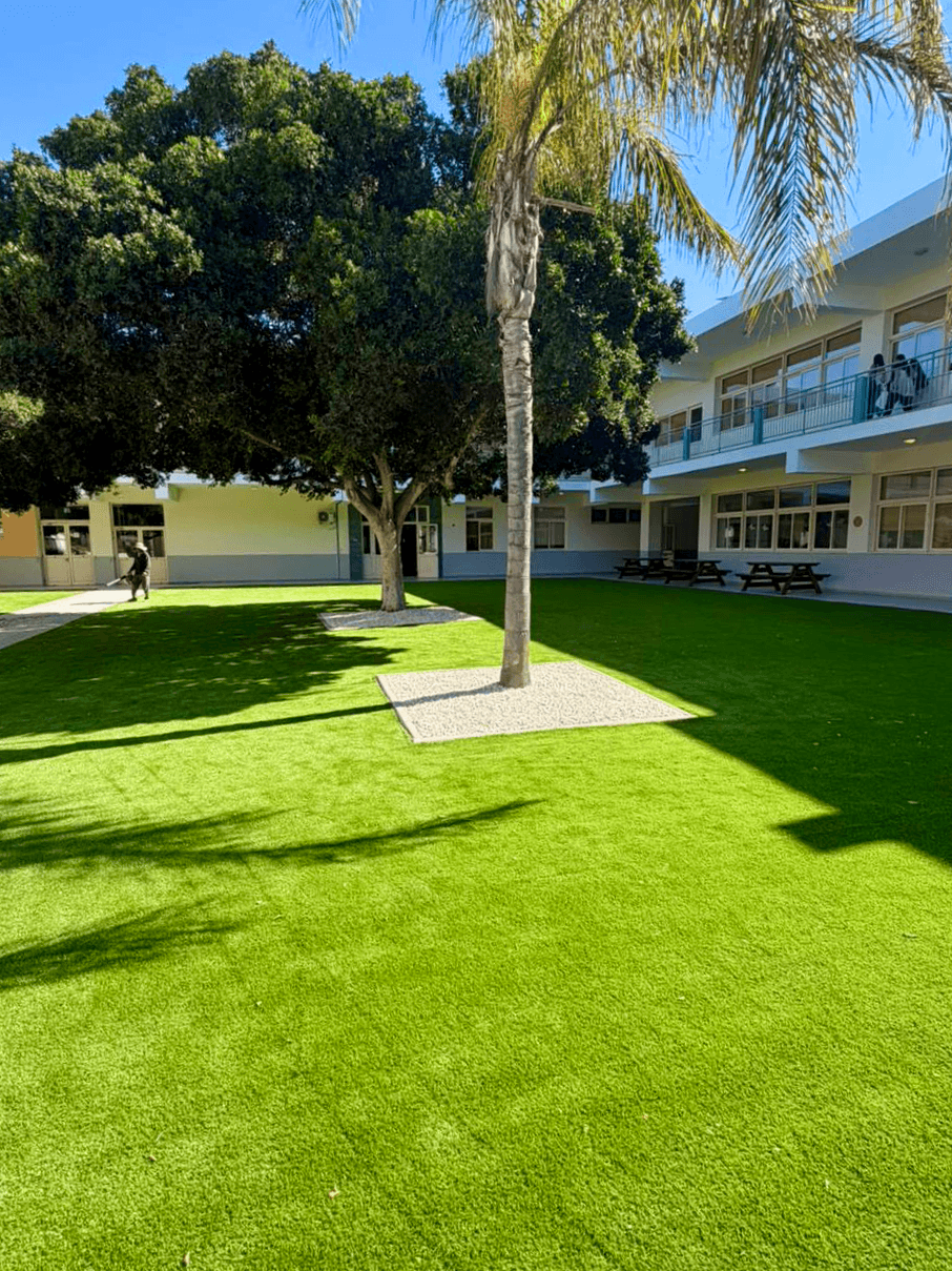 Premium Artificial Turf & Softscaping in Cyprus