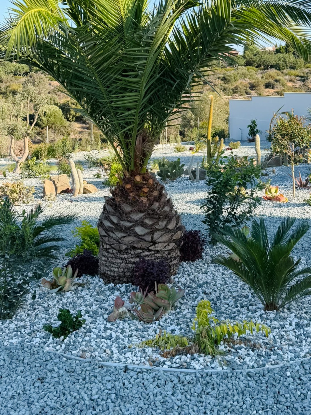 Mediterranean Landscape After