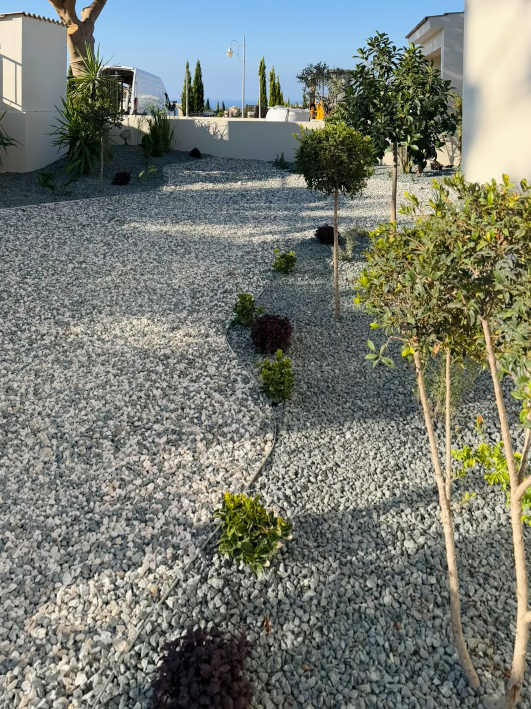 Mediterranean Landscape After
