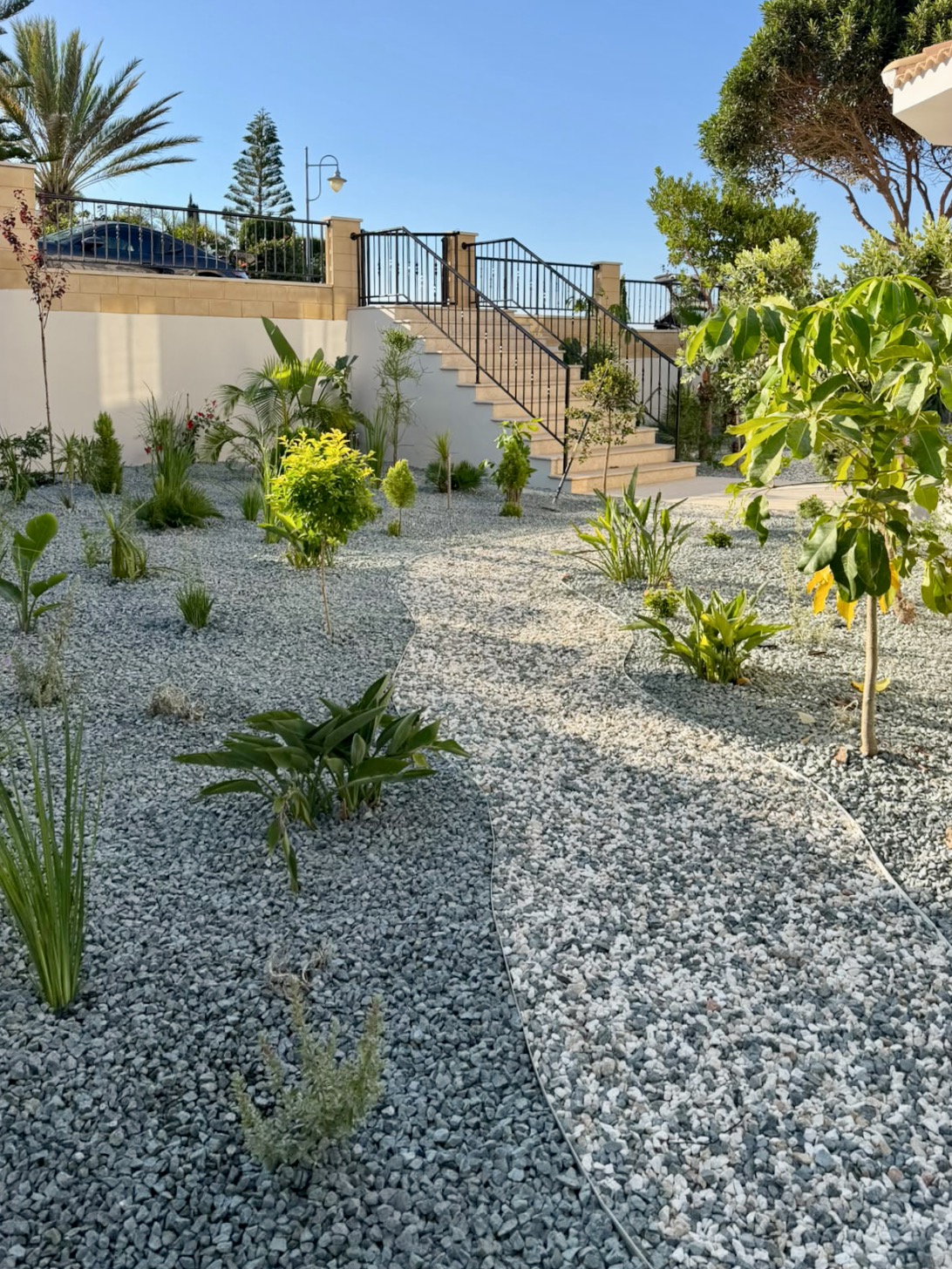 Mediterranean Landscape After