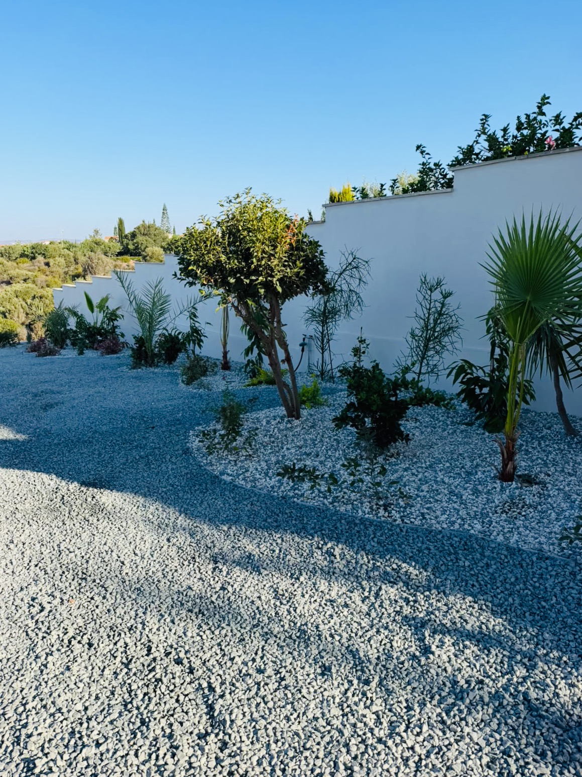 Mediterranean Landscape After