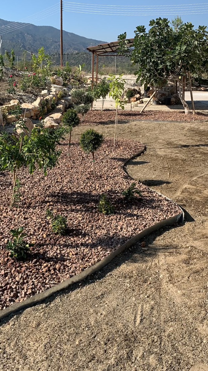 Landscape Before