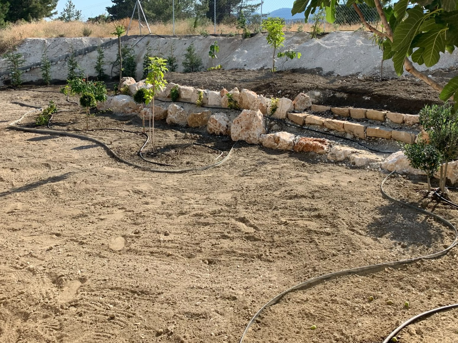 Landscape Before