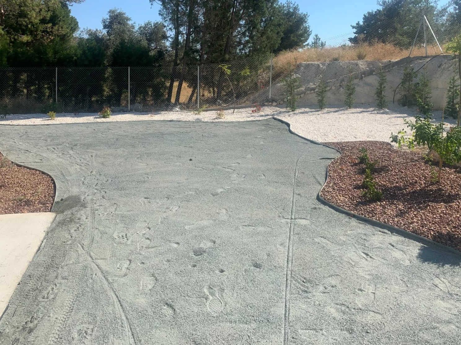 Landscape Before