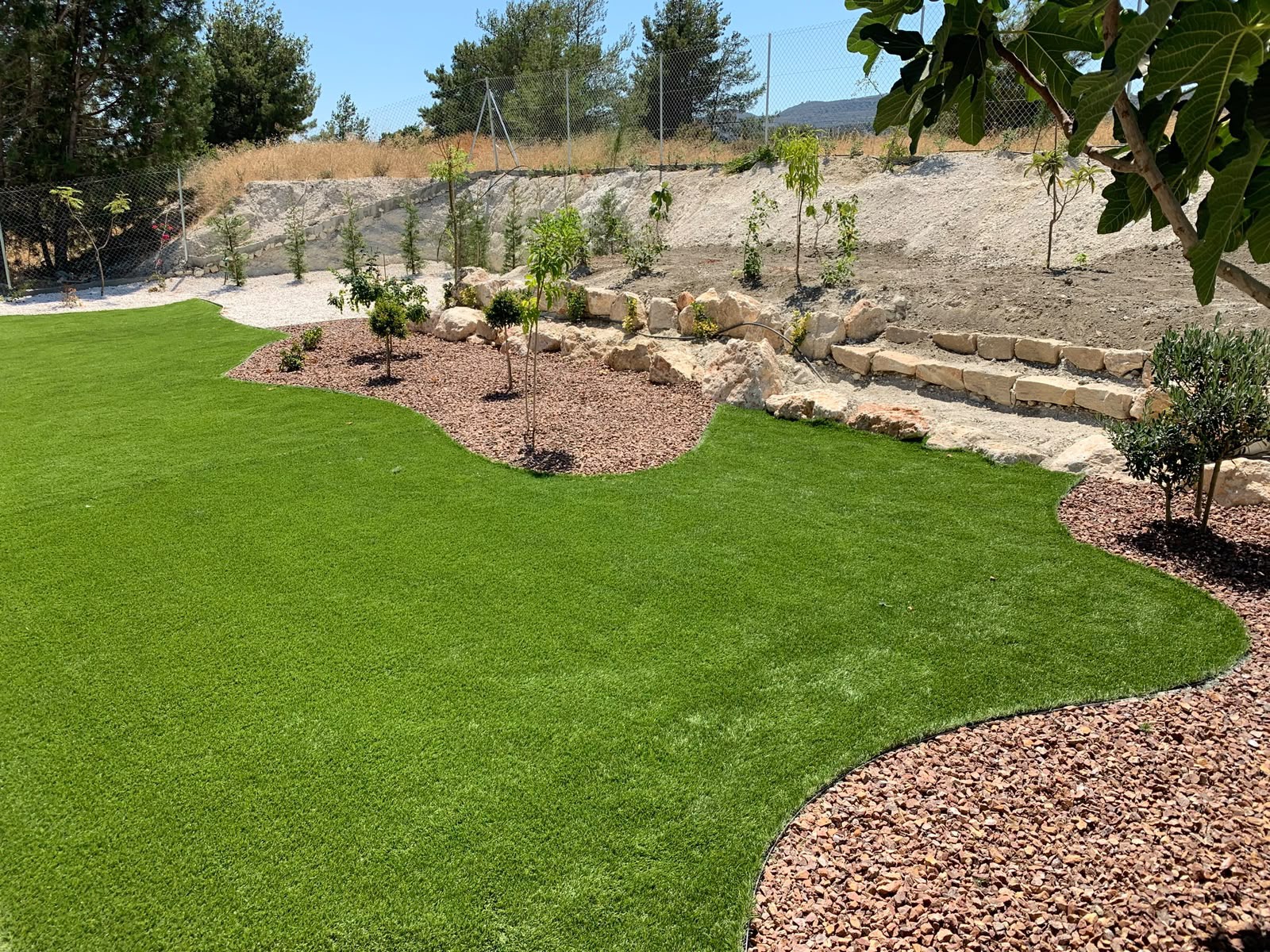 Landscape After