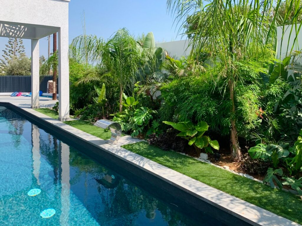 Poolside Oasis