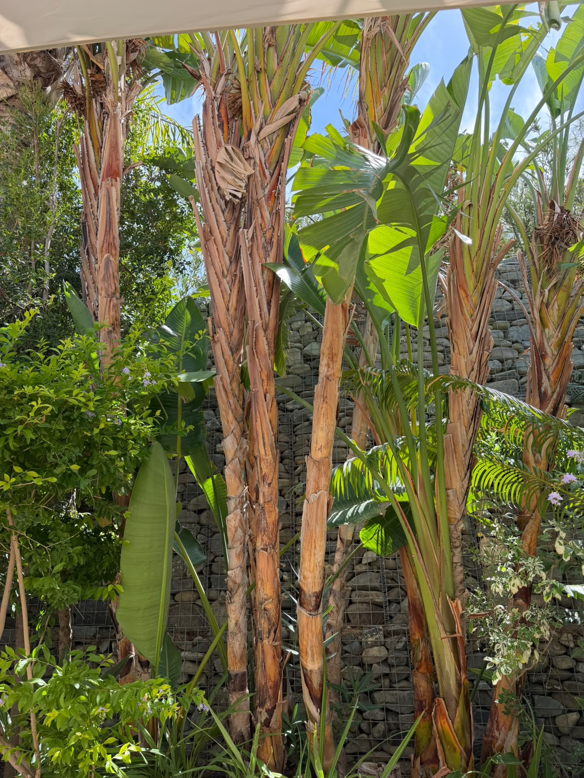 Mediterranean Landscape Before