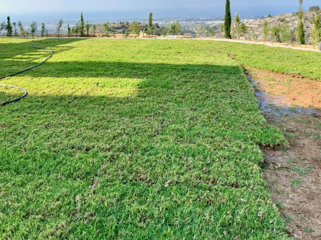 Turf & Lawn Revitalization: Professional Overseeding & Irrigation