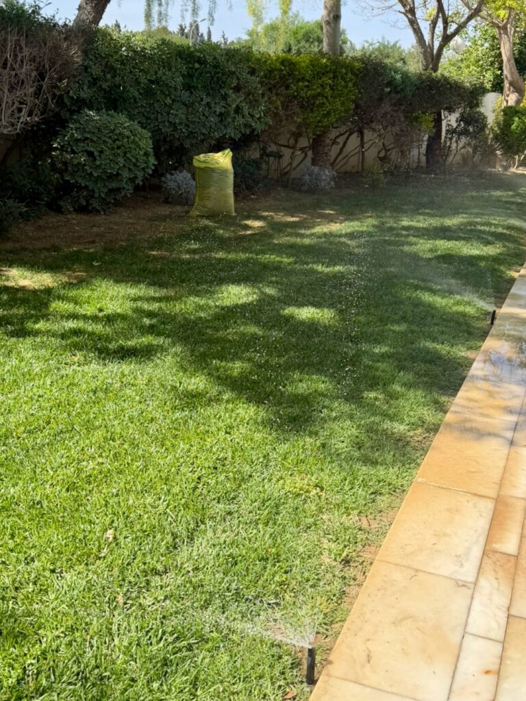 Lawn Overseeding & Revitalization Project