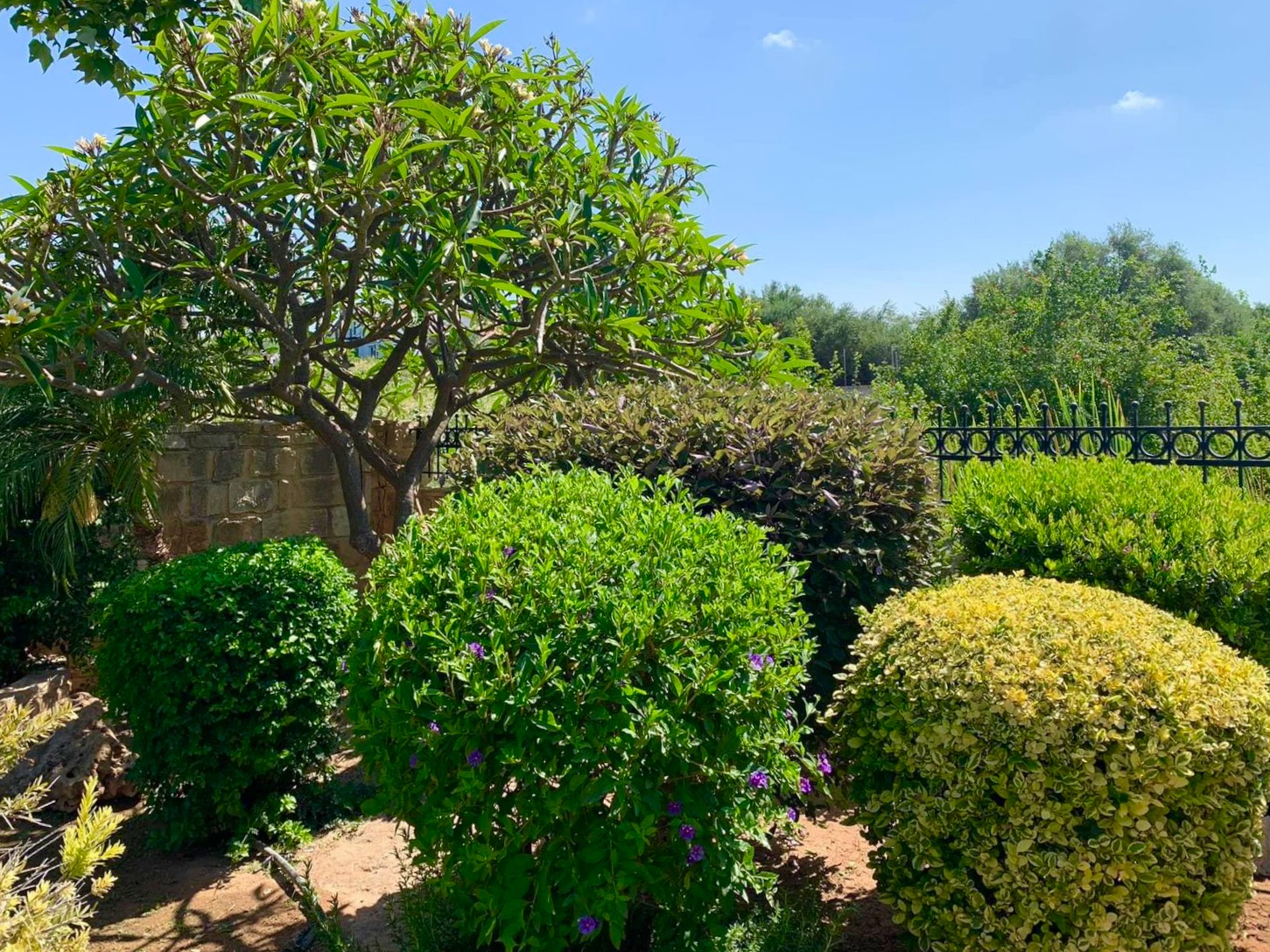 Mediterranean Landscape After