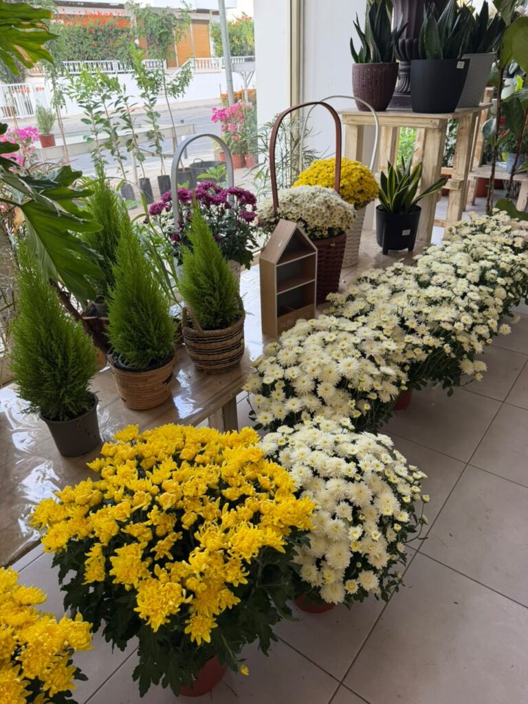 October Botanical Highlights: Seasonal Floral Curations & Imported Blooms