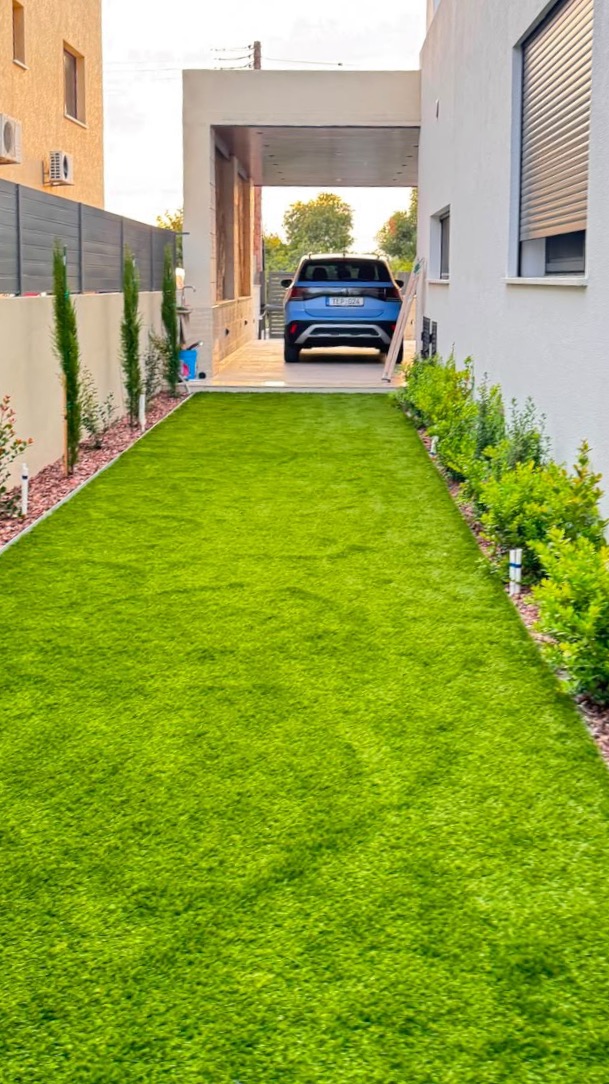 Landscape After